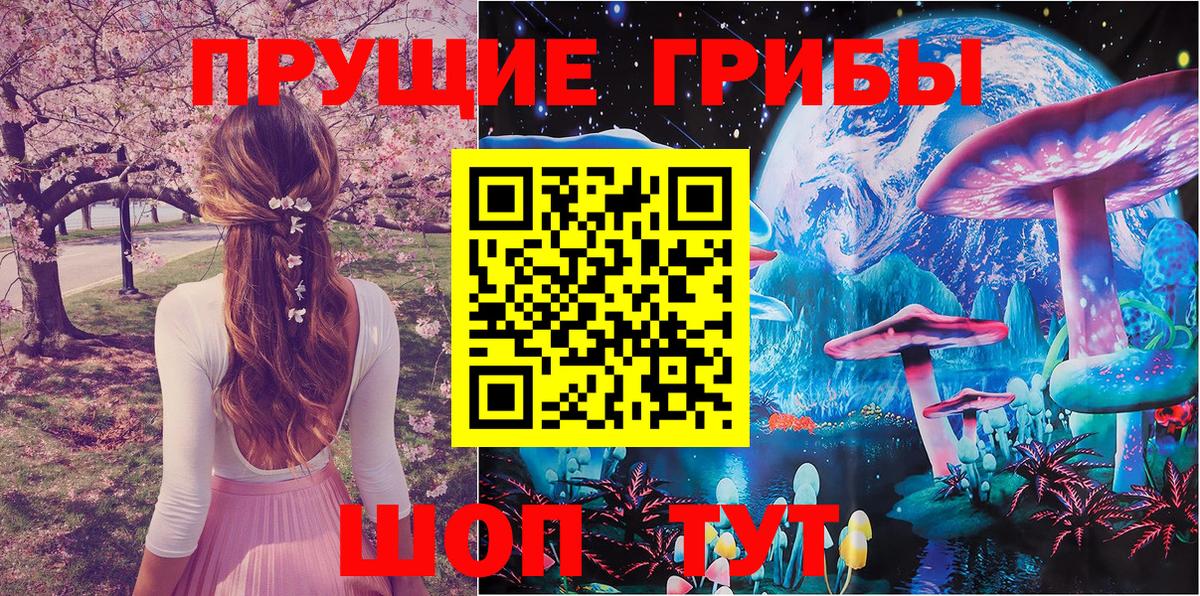 Псилоцибиновые грибы Psilocybe  Вход с VPN  Псилоцибиновые грибы Psilocybe  Ялуторовск 